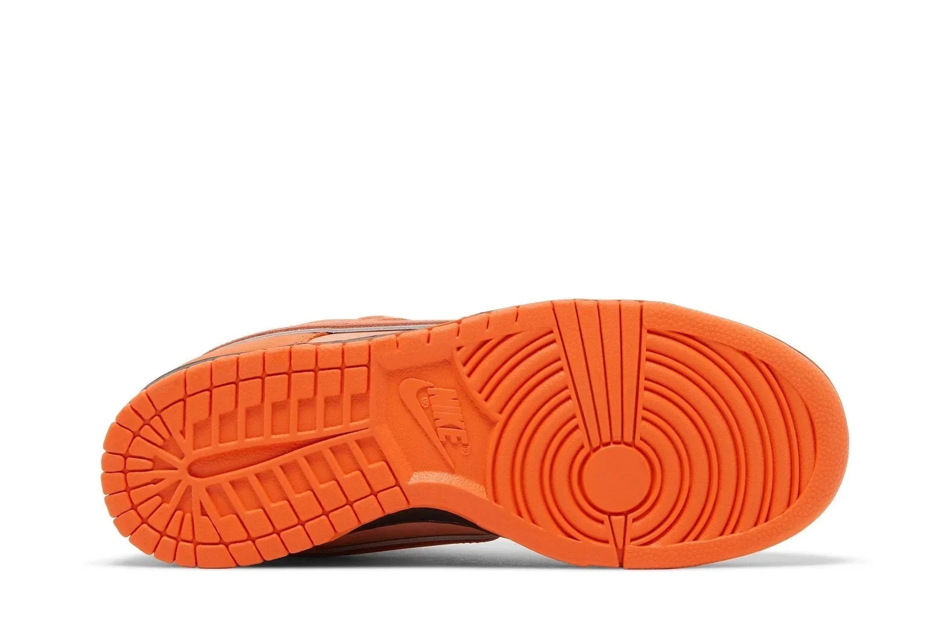 Concepts x Nike SB Dunk Low Orange Lobster Laranja - Meireles Sport