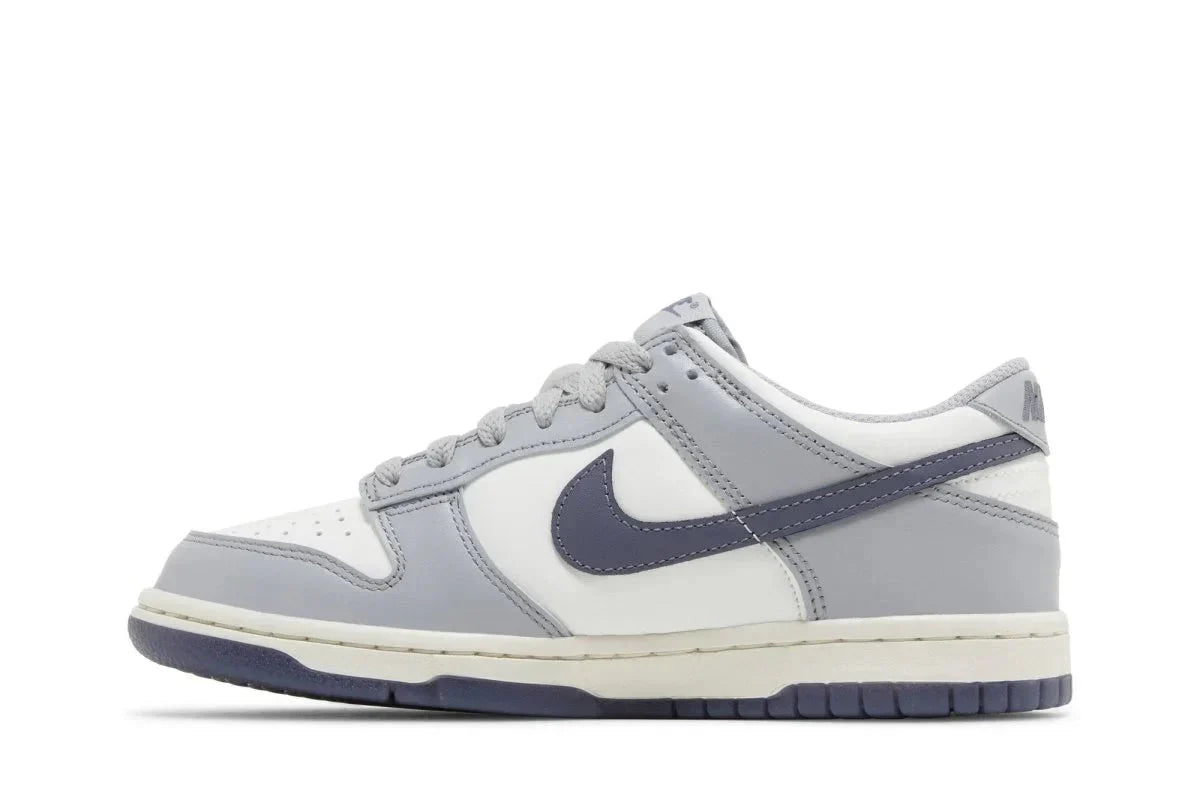 Nike Dunk Low Light Carbon Cinza - Meireles Sport