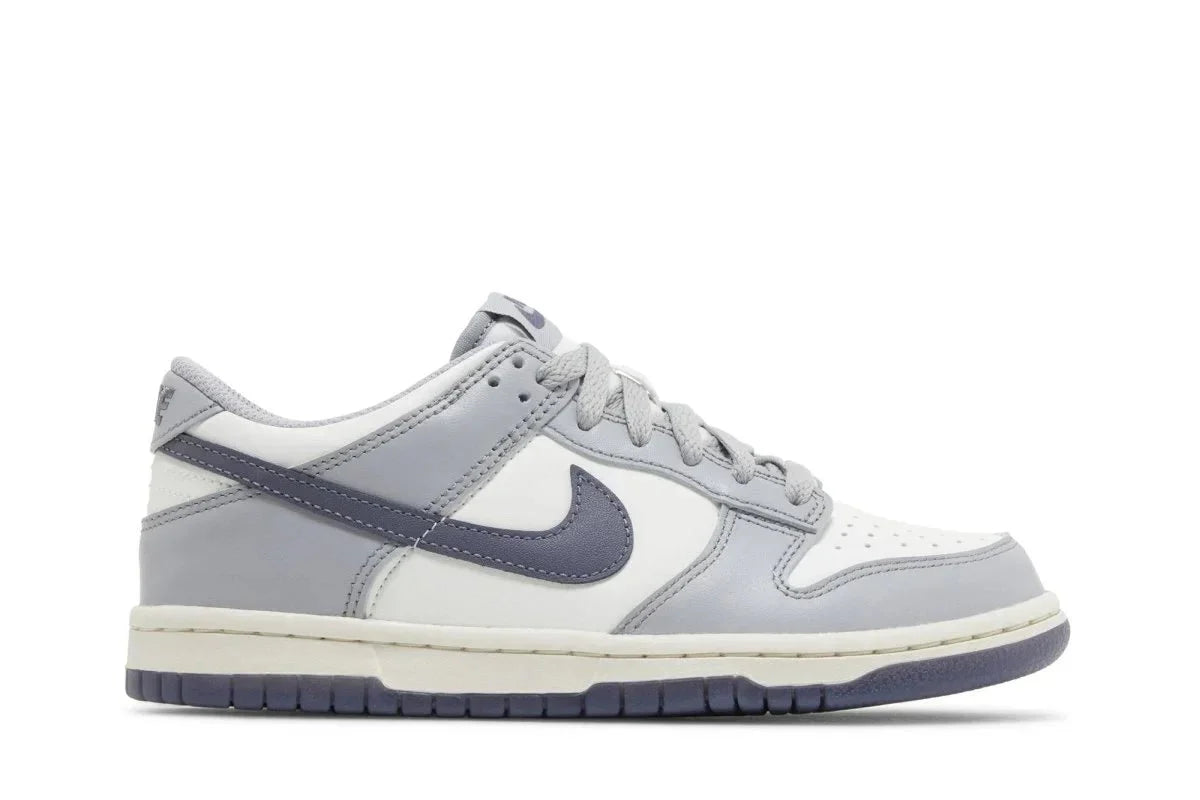 Nike Dunk Low Light Carbon Cinza - Meireles Sport